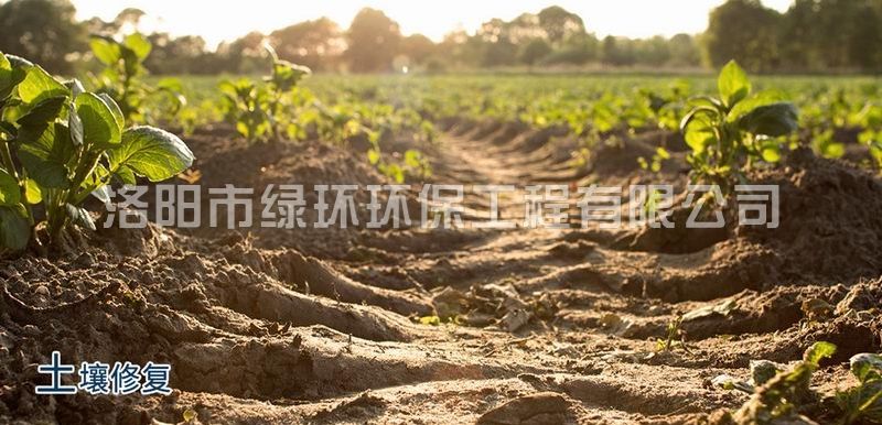 泥土建复与治理